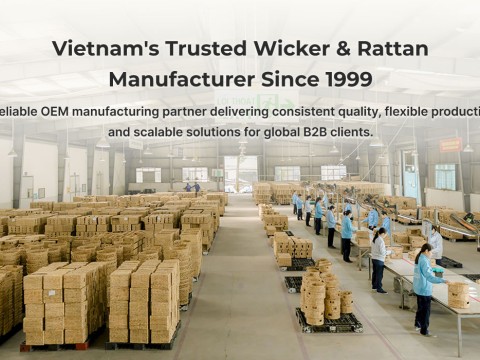Behind the Scenes: A Day Inside the 30,000 m² Sustainable Factory of Phu Minh